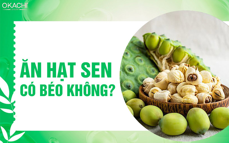 Ăn hạt sen CÓ BÉO KHÔNG và cách GIẢM CÂN bằng hạt sen