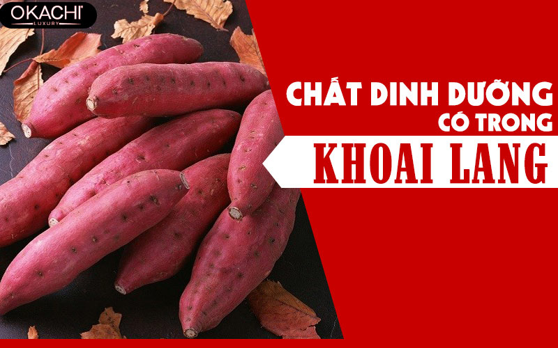 Nên ăn khoai lang vào lúc nào là ĐÚNG cho sức khỏe