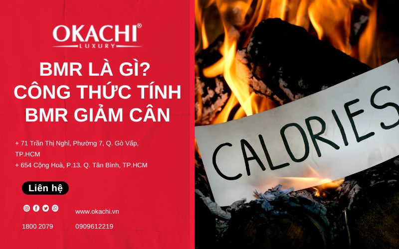 BMR là gì? Công thức tính BMR để giảm cân