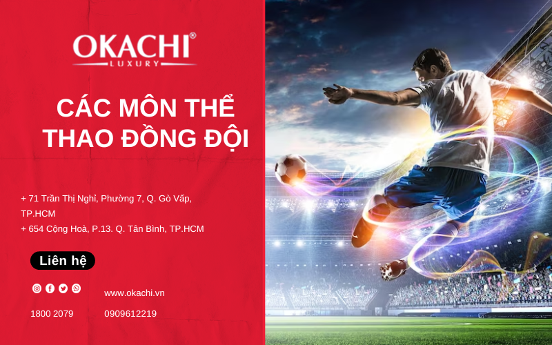 Tổng hợp các môn thể thao đồng đội rèn luyện sức khỏe