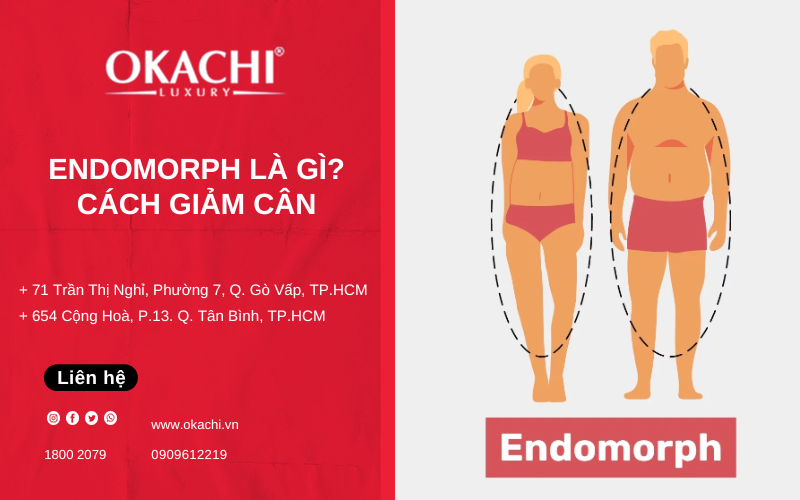 Endomorph là gì? Cách GIẢM CÂN dành cho cơ địa dễ tăng cân