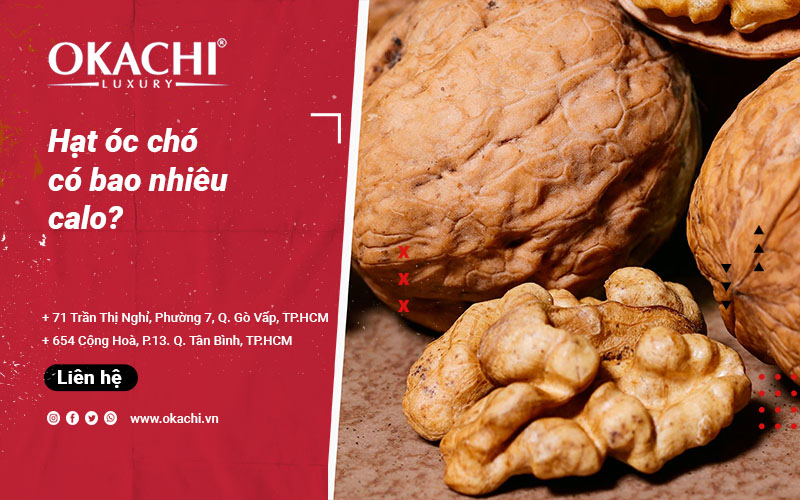  Hạt óc chó có bao nhiêu calo và TÁC DỤNG của quả óc chó