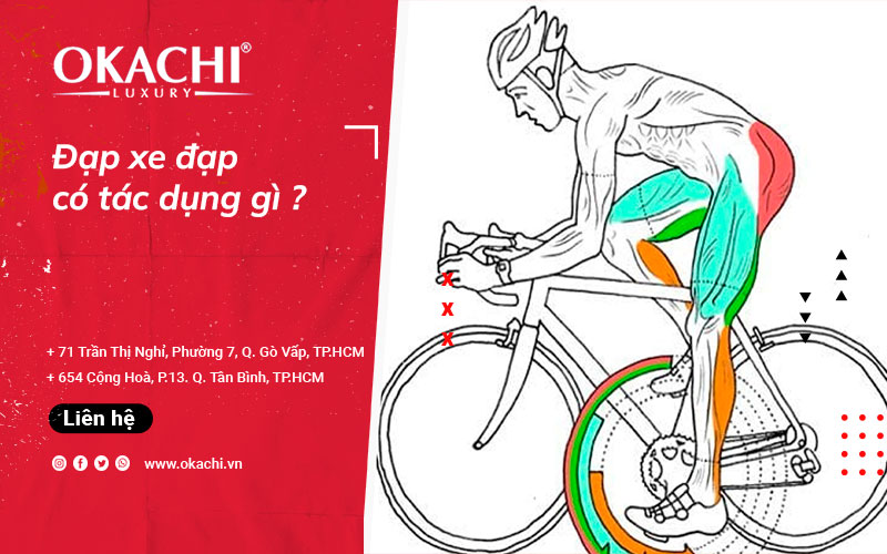 Đạp xe đạp có tác dụng gì cho SỨC KHOẺ và lợi ích không ngờ