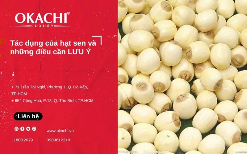Tác dụng của hạt sen và LƯU Ý khi ăn quá nhiều