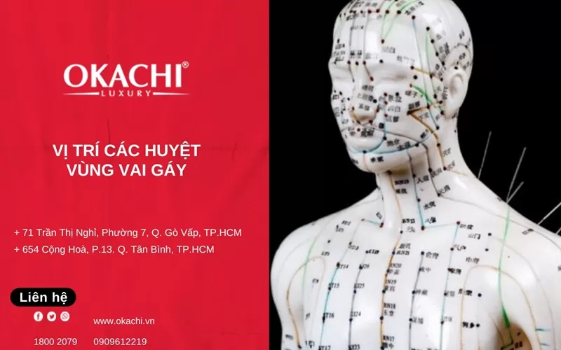 Vị trí các huyệt vùng vai gáy: Cách giảm đau HIỆU QUẢ