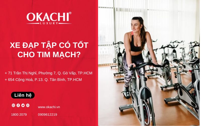 [Giải đáp] - Xe đạp tập có TỐT CHO TIM MẠCH không? 