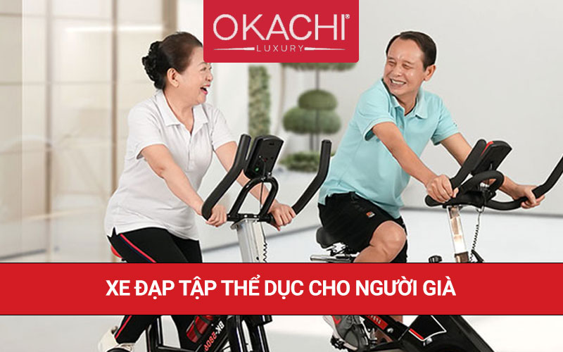 5 mẫu Xe đạp tập thể dục cho người già uy tín chất lượng 