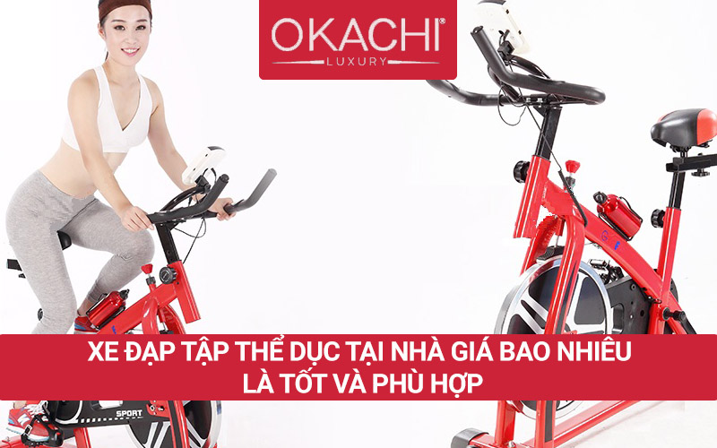 Xe đạp tập thể dục tại nhà giá bao nhiêu năm 2024