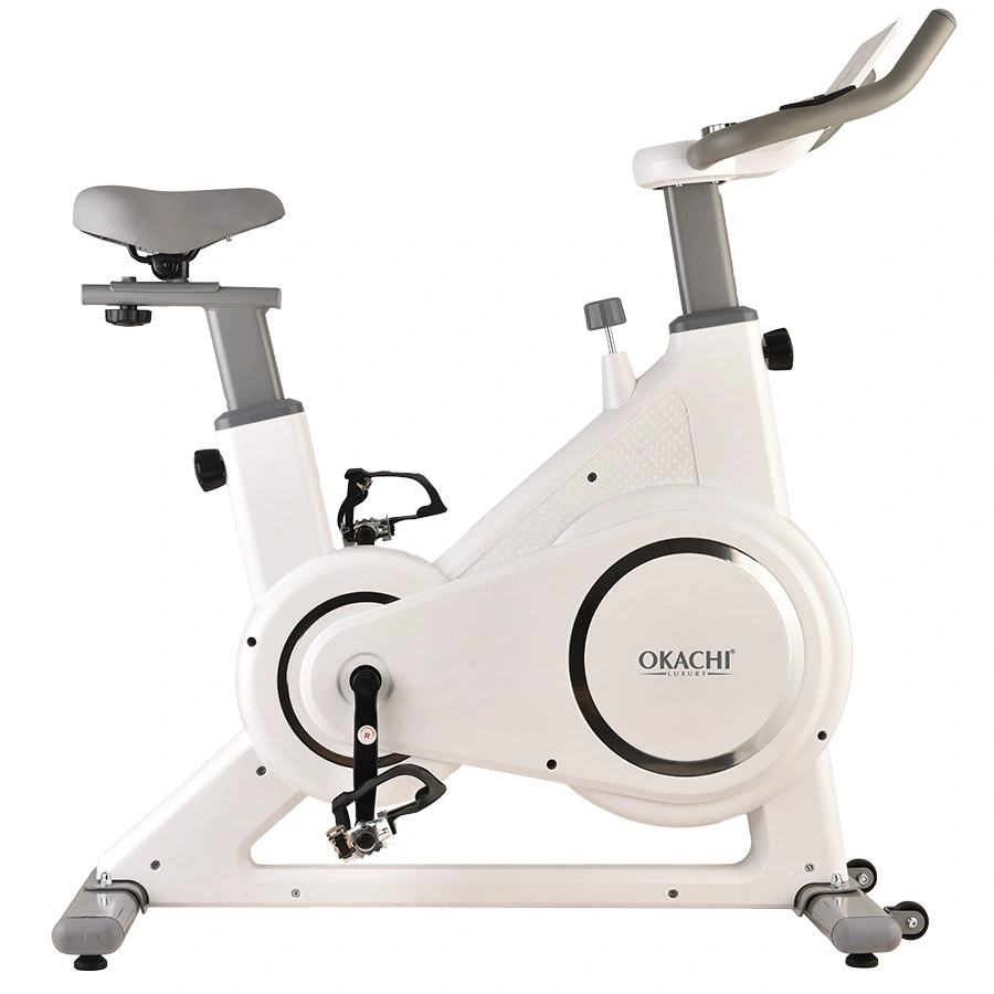 Xe đạp tập thể dục OKACHI JP-599A (Trắng)