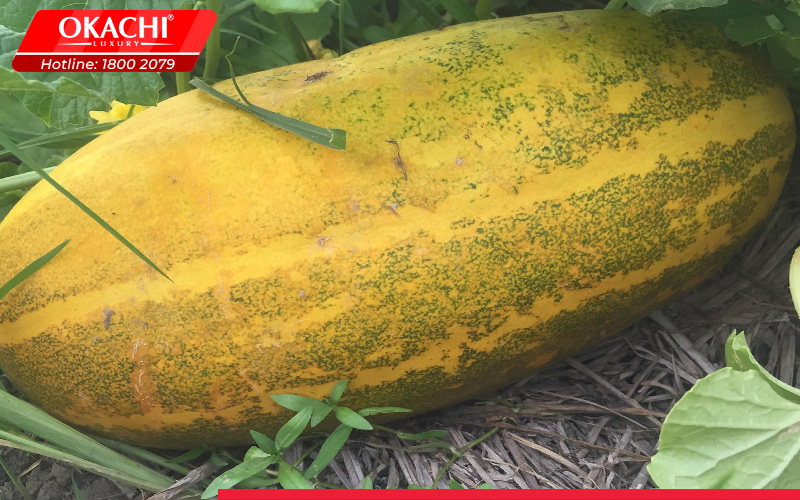 Dưa gang bao nhiêu calo và cách ăn dưa gang không gây BÉO