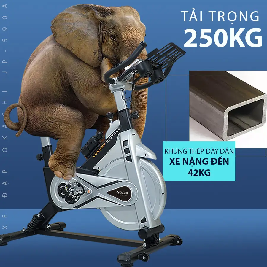 Xe đạp tại nhà OKACHI LUXURY JP-590A