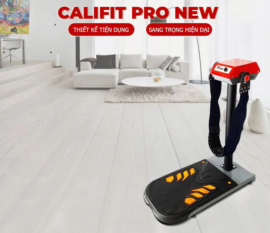 Máy rung bụng đứng Pro New 450W CF-450 