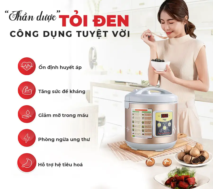 Máy làm tỏi đen Fuki FK-910 hoa văn - 6L (Vàng Gold)
