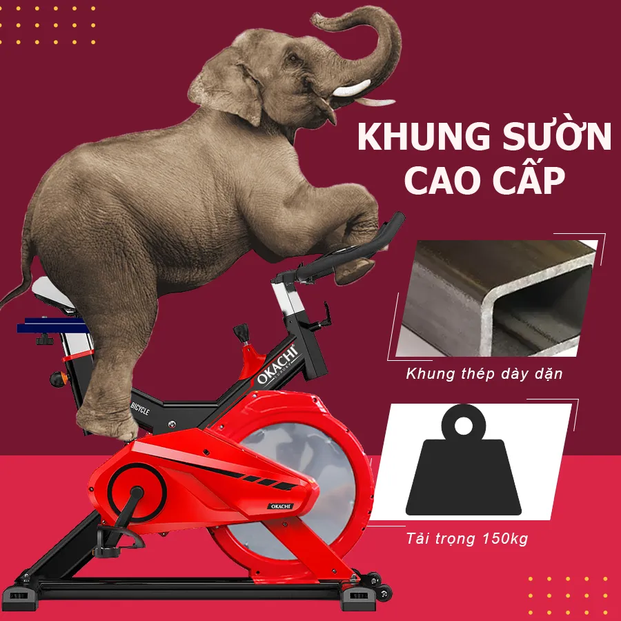 Xe đạp trong nhà OKACHI SPORT JP-589A